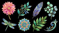 Watercolor botanical clipart set with flower, feather, dragonfly, mandala, and leaves, isolated on transparent background, ready for stickers, sublimation, and print on demand.