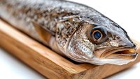 Fresh raw trout fish head close up on wooden cutting board, macro photography showing detailed scales, gills and bright blue eye of seafood ingredient.