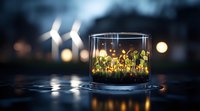 Glowing miniature garden in glass container with tiny sprouts and moss, illuminated by soft bokeh lights creating magical atmosphere at dusk.