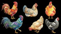 Rooster and chicken collection isolated on transparent background, ready for t-shirt design, clipart, stickers, sublimation and print-on-demand products.