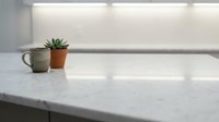 Small succulent plant in terracotta pot next to ceramic mug on white marble kitchen counter with modern backsplash and under cabinet lighting.