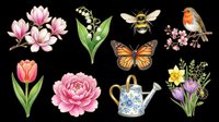 Spring clipart set with magnolia, tulip, peony, lily of the valley, butterfly, bee, robin bird, and watering can, isolated on transparent background, ready for stickers, t-shirt design, and print on demand.