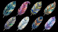 Colorful decorative feathers set, isolated on transparent background, ready for stickers, t-shirt design, sublimation, print on demand, and clipart projects.