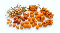 Fresh sea buckthorn berries collection isolated on white background for healthy nutrition supplements and natural skincare products design.