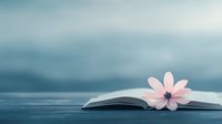 Open book with delicate pink flower on wooden surface against soft blue background for relaxation, reading, literature and peaceful moments.