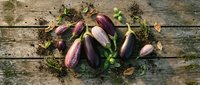 Fresh purple eggplants with green leaves arranged on rustic wooden background, organic vegetables for healthy cooking and farm-to-table cuisine preparation.