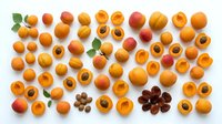 Fresh apricots collection with whole fruits, halves showing pits, and green leaves arranged on white background for healthy food design projects.