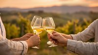 Couple toasting with white wine glasses at sunset overlooking vineyard landscape during romantic evening celebration outdoors.
