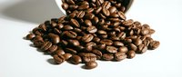 Roasted coffee beans spilling from a tipped ceramic cup on white background, suitable for cafe, beverage, and food packaging designs.