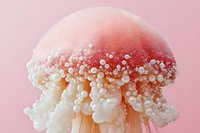 Ethereal jellyfish sculpture with delicate white bubble-like tentacles floating against soft pink background, showcasing organic forms and dreamy underwater aesthetic.