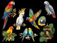 Colorful parrot collection isolated on transparent background, ready for t-shirt design, clipart, stickers, sublimation, and print-on-demand projects. Multiple tropical bird species included.