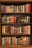Vintage bookshelf with collection of antique leather-bound books in rich reds, browns, and golds arranged on wooden shelves for home library decor.