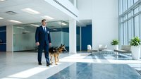 Professional businessman in dark suit walking with German Shepherd dog through modern corporate office lobby with glass walls and marble floors.