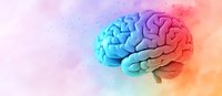 Colorful gradient human brain model on soft pastel background with blue and red lighting effects, showing anatomical details and neural connections.