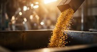 Golden grain pouring from metal chute into container with warm sunlight streaming through industrial facility creating dramatic lighting effects.