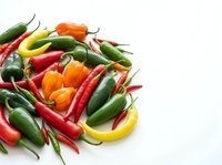 Colorful assortment of fresh hot chili peppers in red, green, yellow and orange varieties isolated on white background for culinary and cooking projects.