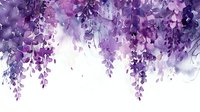 Cascading purple wisteria flowers create romantic floral border with delicate watercolor effect, soft petals falling in gentle arrangement against white background.