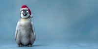 Baby penguin wearing red Santa hat on blue background, festive winter holiday concept for greeting cards and seasonal designs.