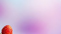 Fresh red strawberry on soft purple gradient background with copy space for food photography and healthy eating concepts.