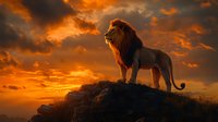Majestic male lion standing on rocky outcrop against dramatic orange sunset sky with dark clouds, creating powerful silhouette effect. Wildlife concept for wall art.