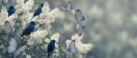 Silhouettes of small birds perched on blooming white flower branches with soft butterflies flying around in dreamy spring garden atmosphere.