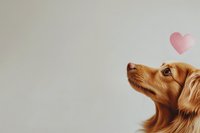 Golden retriever dog looking up at floating pink heart against neutral background, capturing sweet moment of pure love and affection in minimalist style.