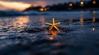 Starfish on wet sand at sunset with bokeh lights reflecting on water surface, moody evening atmosphere at beach creates romantic coastal scene.