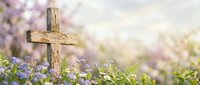 Wooden cross standing among purple wildflowers in soft sunlight creating peaceful Easter and spring memorial scene for religious and spiritual content.