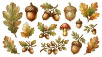 Autumn oak leaves, acorns, and mushrooms isolated on white background, ready for design projects, invitations, and seasonal decorations.