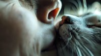 Close-up of person's nose touching grey cat's face in intimate bonding moment, showing emotional connection between human and pet in soft natural lighting.