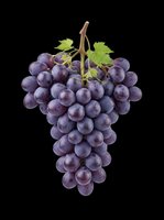 Dark purple grape bunch with stem and green leaves isolated on transparent background, ready for clipart, t-shirt design, stickers, print-on-demand products, and sublimation projects.