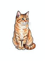 Orange tabby cat sitting upright with alert expression, isolated on white background. Suitable for pet-related designs, t-shirts, clipart, and animal illustrations.