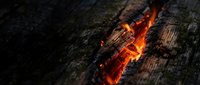 Burning log with glowing embers and orange flames on charred wood surface. Fire crackling with hot coals for camping, fireplace, or outdoor heating concepts.