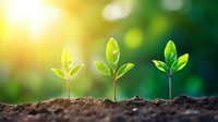 Young green seedlings growing in fertile soil with sunlight and natural bokeh background, showing plant growth stages and environmental concept.