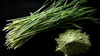 Fresh green wheatgrass stalks and powdered superfood supplement on black background, dramatic lighting highlights natural organic ingredients for healthy lifestyle.