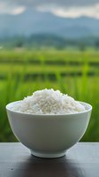 White rice grains in ceramic bowl with green rice field background. Fresh harvest concept for healthy eating and agricultural products.