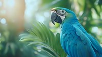Vibrant blue and gold macaw parrot perched among tropical palm leaves in natural sunlight, showcasing detailed feathers and distinctive beak profile. Perfect for wildlife themes.