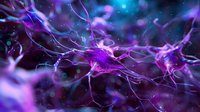 Glowing purple neurons interconnected in cosmic space with bright synaptic connections against dark background, showing neural network activity and brain cell communication.