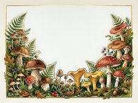 Vintage botanical frame with wild mushrooms, ferns and forest plants creating decorative border on textured background for autumn designs.