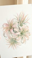 Watercolor illustration of delicate pink and cream lily flowers with green stems, isolated on white background, suitable for botanical art, greeting cards, and floral design projects.