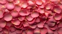 Delicate pink rose petals creating romantic background texture with soft shadows and natural organic pattern. Suitable for wedding designs and luxury beauty products.