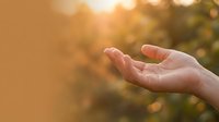 Open palm of a person with light skin tone against a warm, blurred natural background with golden sunlight, suggesting giving, receiving, or offering gestures for wellness and spirituality concepts.