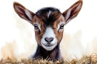 Adorable baby goat with brown and white fur looking directly at camera with expressive blue eyes and sweet smile, sitting in golden straw against soft background.
