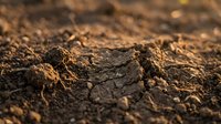Rich, dark soil texture with organic matter and natural earth tones, suitable for agriculture, gardening, environmental, and nature-related projects.