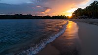Dramatic sunset over tropical beach with golden sunlight reflecting on gentle waves washing ashore, dark silhouettes of palm trees against vibrant dusk sky and calm ocean waters.