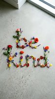 Be kind lettering made of colorful wildflowers and stems arranged on concrete floor, inspiring kindness message for cards and decor.