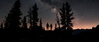 Silhouetted figures stand together under starry night sky surrounded by tall evergreen trees at dusk, capturing adventure and wonder in wilderness landscape.