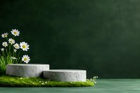 Minimalist product display podiums with white daisies and green moss on dark background, natural cosmetic presentation scene for eco-friendly branding.