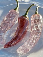 Three frozen chili peppers encased in ice with green stems on white background, winter preservation concept for culinary and cooking themes.
