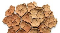 Cracked and parched earth surface with deep fissures, showing severe drought conditions and soil erosion patterns for environmental and climate change concepts.